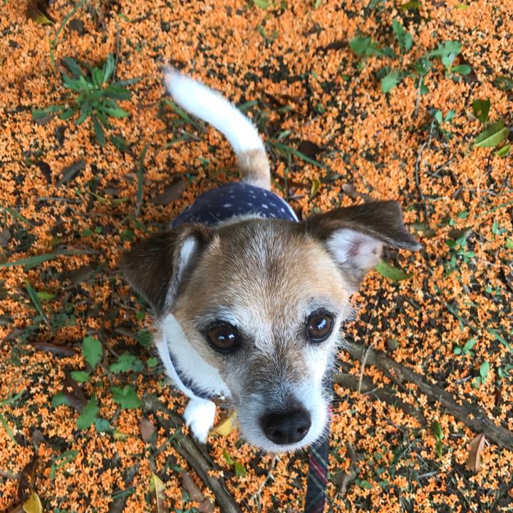 5e93a52b 2b7d 4d41 a0a1 8186aa07046f 1602390301918