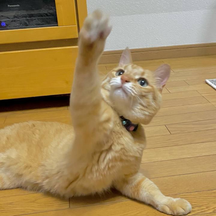 5e93a711 392d 4321 92ed 2b54b15dd543 1656634902081