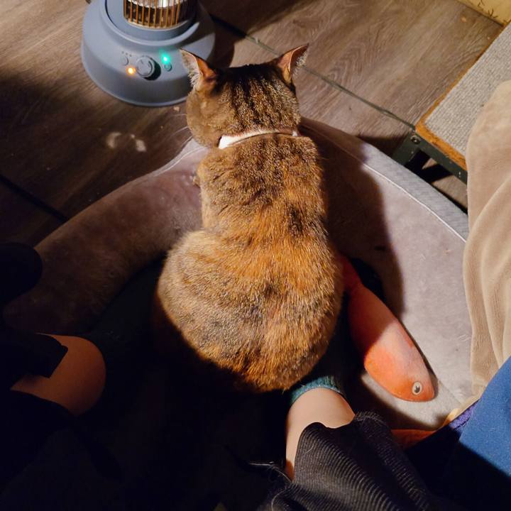 5e93be51 e8d2 4aca b7bd 13128c77f4b8 1773064812877