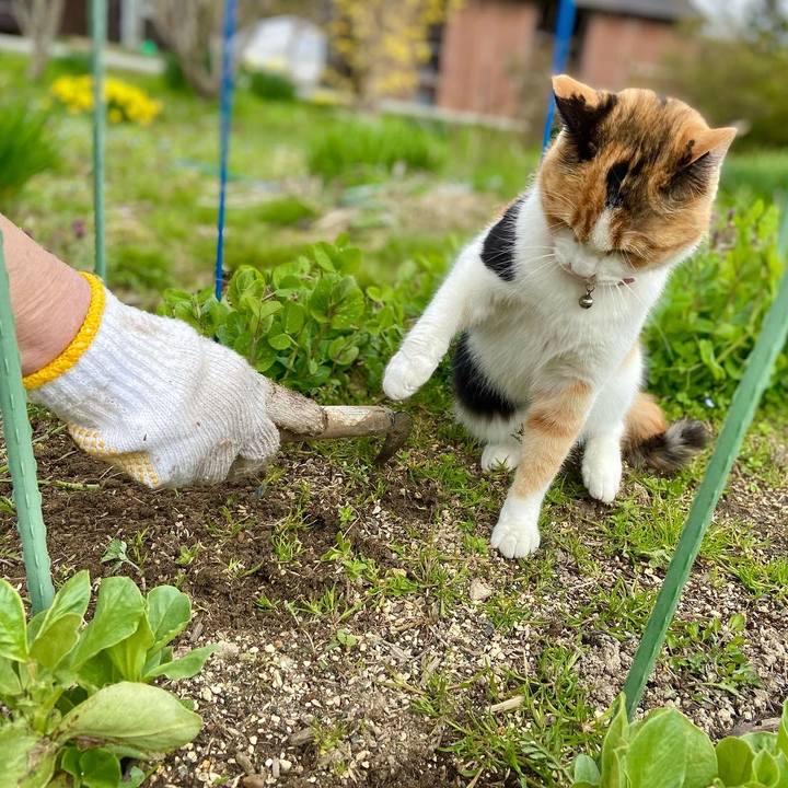 5e93e6b5 b38c 48de 8df0 896a942758fa 1649054671119