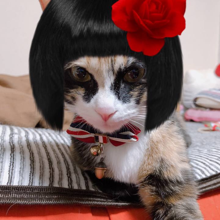 5e9432e6 914e 4299 a754 494705654465 1567174526837