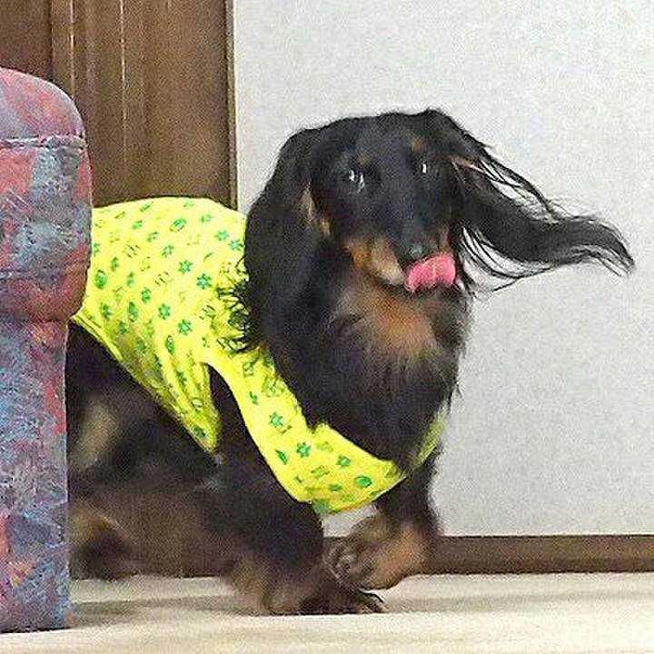 5e946984 7d5c 4365 a11b d1a92a9ec594 1524190360186