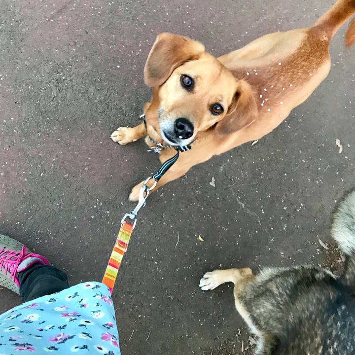 5e947e9c ee80 408a bfb9 b6fb7937916c 1525355674052