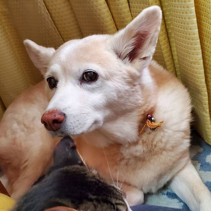 5e94c080 3fda 4484 94fa f3a29fe9576e 1654894146969