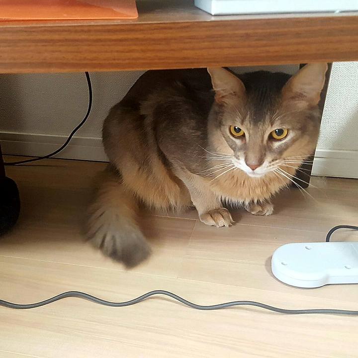 5e94c542 3369 42f6 863d eb21222d6c37 1550547427848