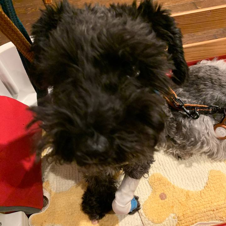 5e94d9aa cd76 4206 8d3d 4373e68fa0e5 1666436311376