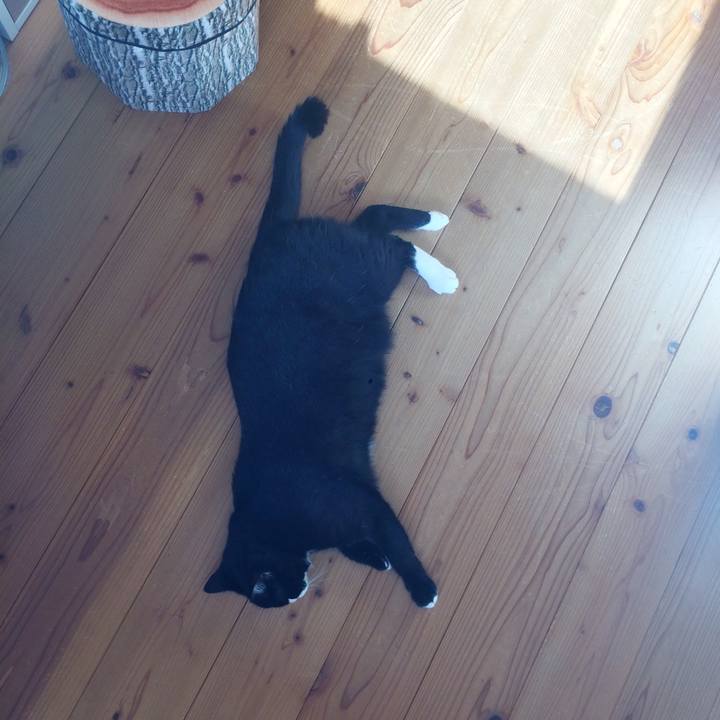 5e9559fe c2c9 4cd7 b4d8 407f26000421 1534287154921