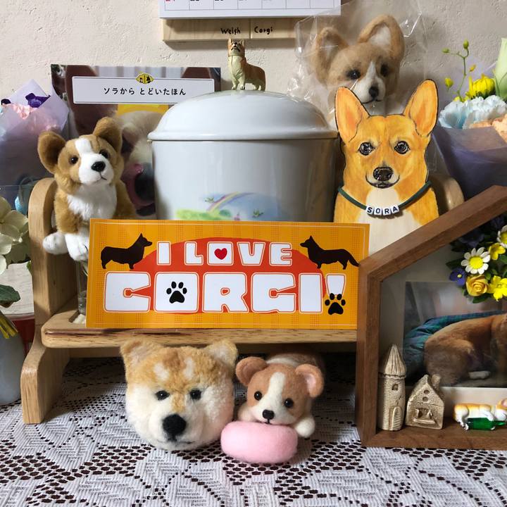 5e9560d2 2d76 4e1c af04 9cf70fd0b4be 1527866466262