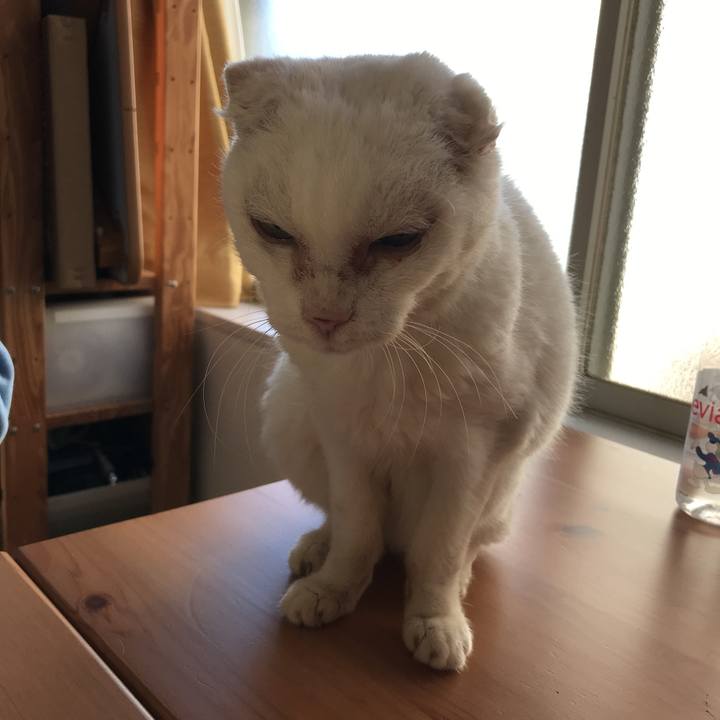 5e957049 bafb 4624 8ae3 08bc68731ae1 1540768552409