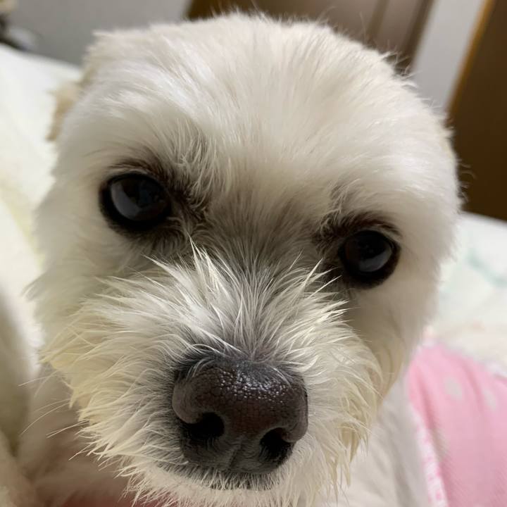 5e95751d 77d8 4087 9c2e 5704ac79dad4 1602163084498