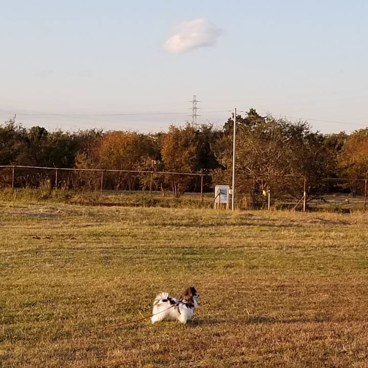 5e9583d3 cfc5 4cac 8df9 b98cdc7ef954 1573894304526