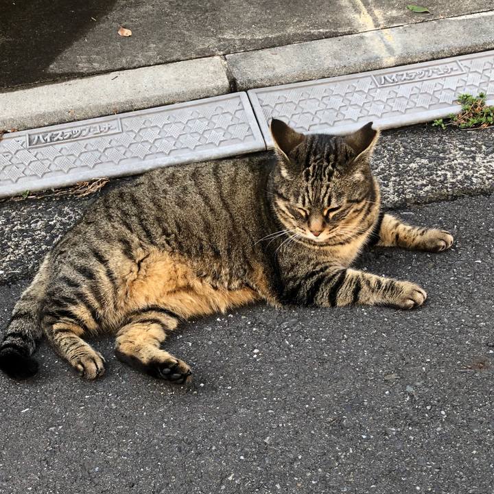 5e959466 bf64 4ffa b787 5f0fdcb9786a 1519876686404