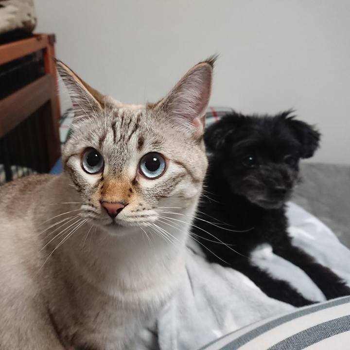 5e95a8f1 38cd 4b38 8b98 f30d73e7df26 1539434820261