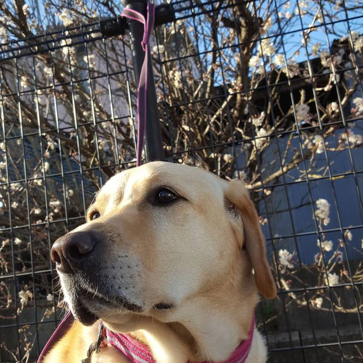 5e95b549 0548 4575 8ebb bd27b43c0c3d 1520647056189