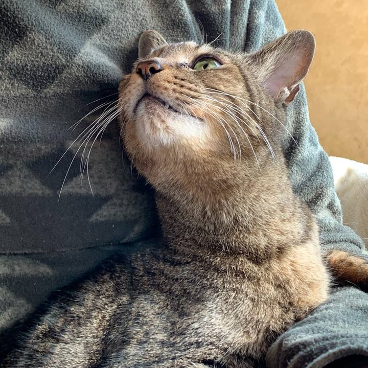 5e95bf3e 8902 41b7 9c58 f497f600cf37 1584573451280