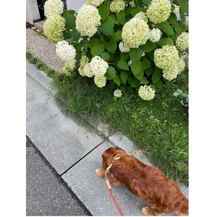 5e95c003 f220 4f4b bcad 5a570af95612 1719619558411