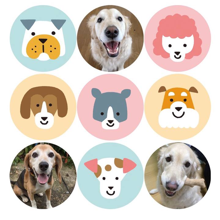 5e95dc01 ba23 4301 9f20 03803f75d25b 1514640377624