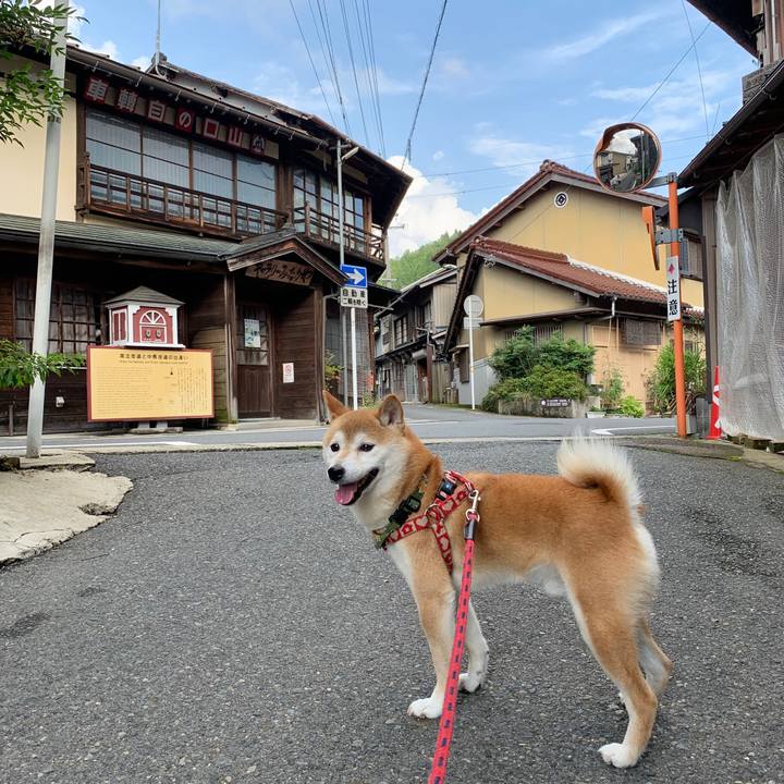 5e95de1d 8ac5 4874 b02f 4fc3284169d4 1593939383721