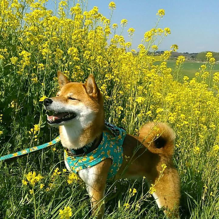 5e965a0a 67d6 4fd0 a6aa 55e47f2e2fda 1554362329695