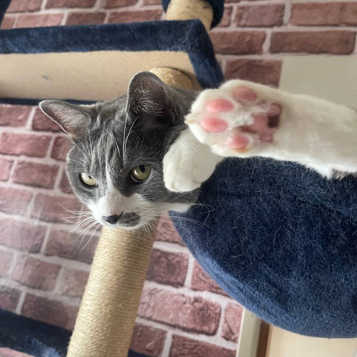 5e96ab48 ea14 4d9f bb5a 2ce3fd6e3ff2 1689228675812