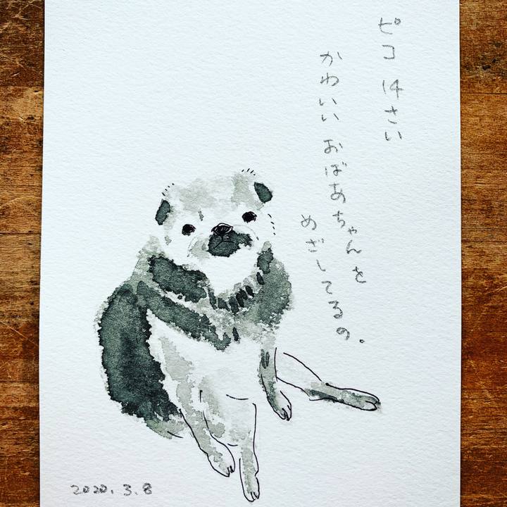 5e96c2e9 c9c0 4479 a039 2763414f5ccf 1583649056935