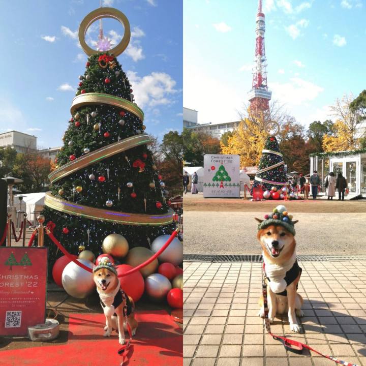 5e96e575 c369 453d ab6a 02e0886d70f5 1670813898725