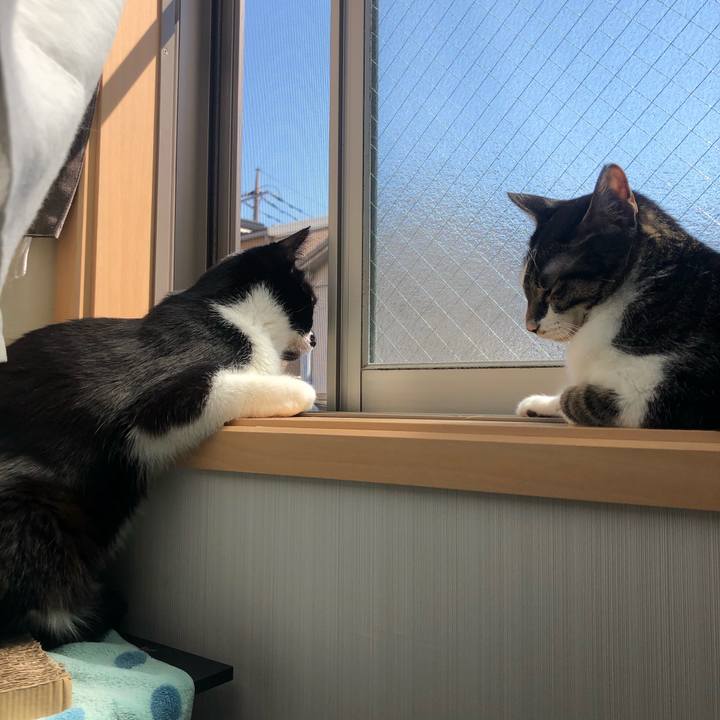 5e96e72a d4fc 46de 88bf 23625c2c16a3 1586326084493