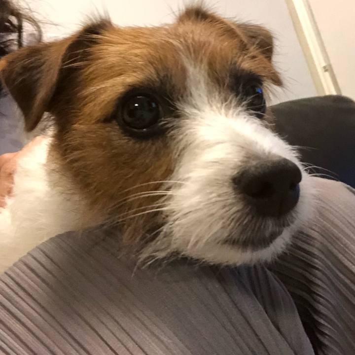 5e96ee98 7eed 4a5c 9ad1 b7a851a18b24 1570274924526