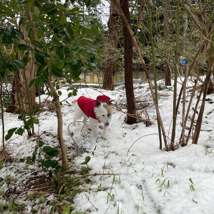 5e9722a9 274a 4514 abd3 79670fb0acb1 1612307628200