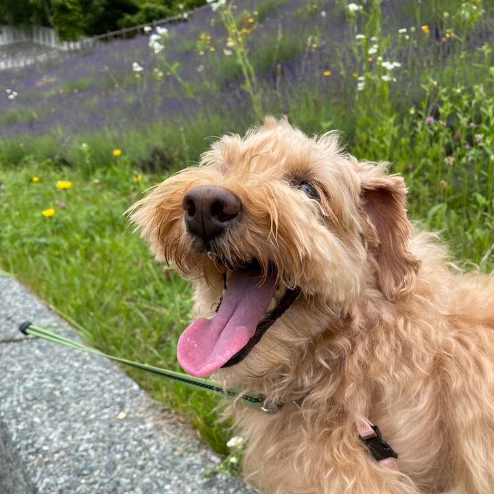 5e9726ac bd42 4673 887c 40600337be4d 1656724583515