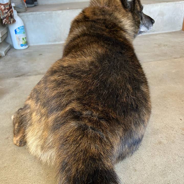 5e975175 a87e 4710 856b 27d8999a6f47 1588666054318