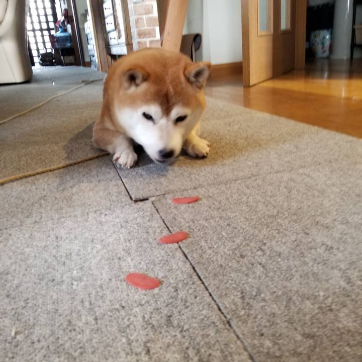 5e97950c dbeb 4b86 982b 701f4aceb63d 1630879456217