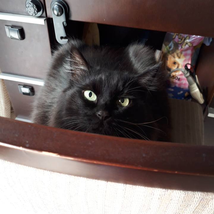 5e980e53 a03f 4e82 8341 0afab8074ce4 1518741444563