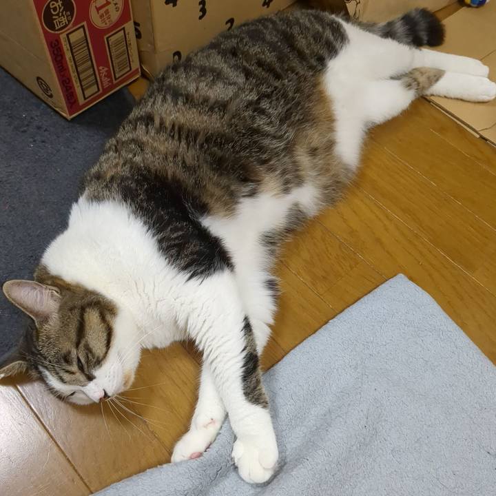 5e981345 b405 4036 a455 4ecb2c7f527b 1688430376699