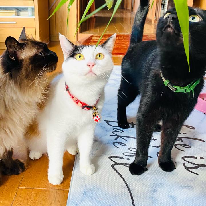 5e9841cf 1f87 477c 87d9 f49e5f90fc93 1718527852912