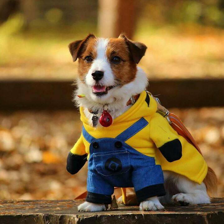 5e985ca0 df9a 4228 8fe9 5f4594fac671 1510139276287