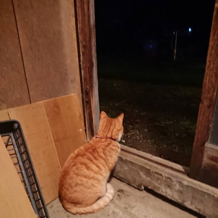 5e987514 8264 4bd6 a72a 0a83c8144c4d 1606556056196