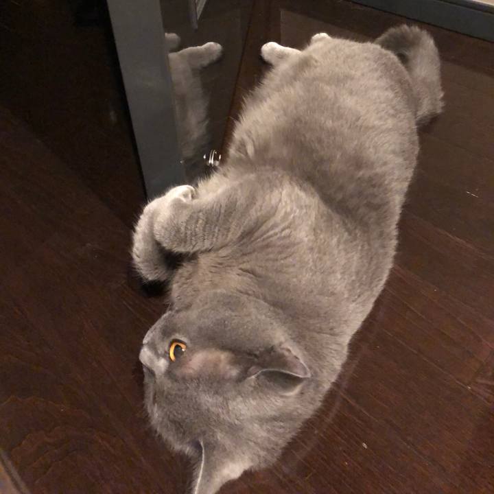 5e988bf7 70ee 4d66 ba0d 4859465bfb8e 1538733355232