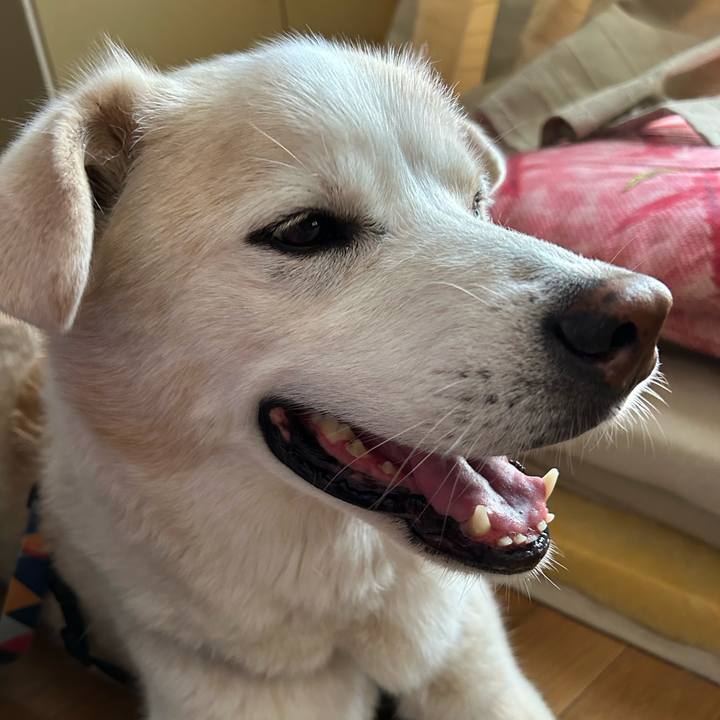 5e98c08f 0e47 41a4 8073 8bf0d14688b2 1723426853754