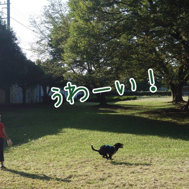 5e98c7b3 0d9f 47ce 935f 2f8f3f76b9f4 1632443099460