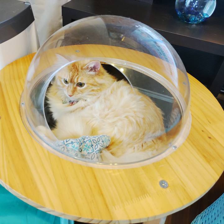 5e98df13 ed59 4c1d ba31 c0f8d1f10ce7 1657677435791