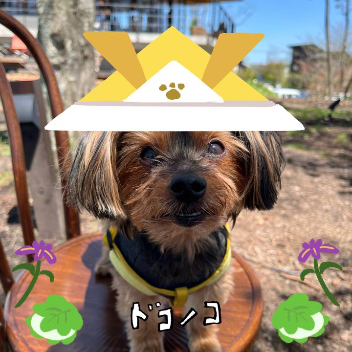 5e98f044 7326 4d17 8c8a 89c6216c83b0 1714881210556