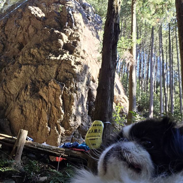 5e9911da 7ca9 40eb 8980 47a94b331aa8 1768366131930