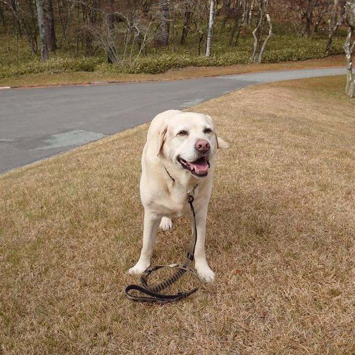 5e99121d e4c5 45df a7c4 ce09978dbaa1 1763119817581