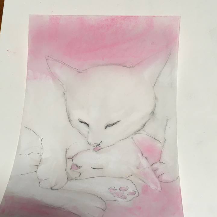 5e992000 b58d 4702 ab18 0e0cb3867a95 1579534270614