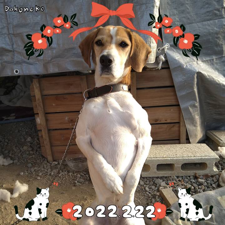 5e992c70 dfcd 4f16 9d5c 667387291f49 1645531255736