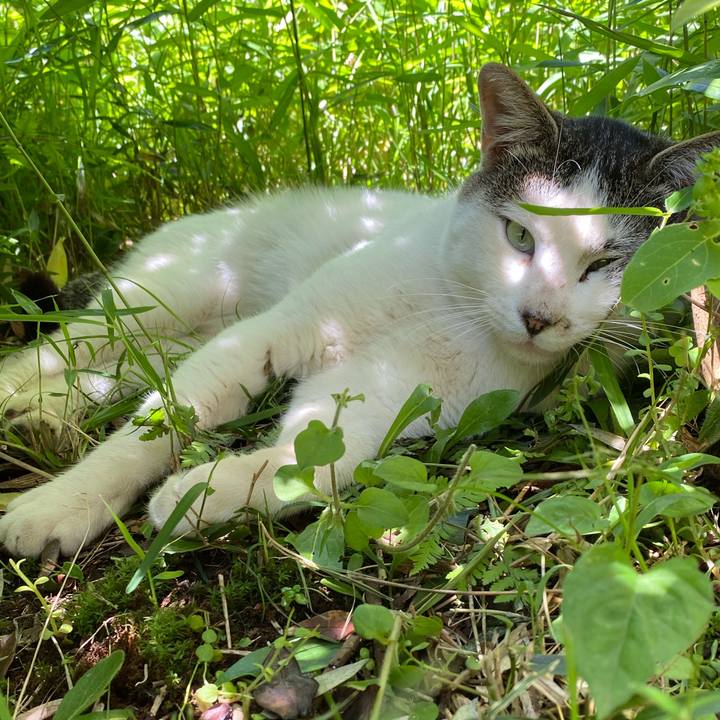 5e994491 29d6 4fb8 a704 0c28ea46fd9b 1589681905339