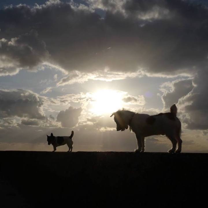 5e9956e7 361c 468f 88d3 979ee75e64ee 1760147265121