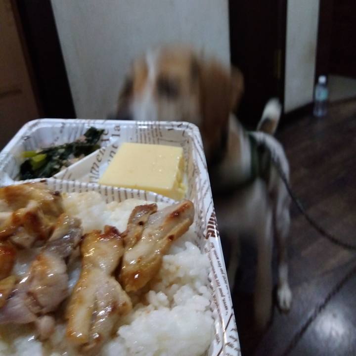 5e996913 044c 48c0 bfd9 3bfe2a7ba2ea 1688733720761