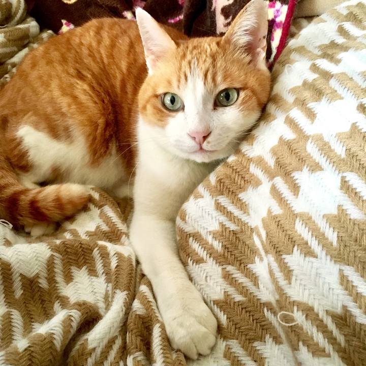 5e997b5f 2910 472f 8989 d649ba0097b4 1556142144917